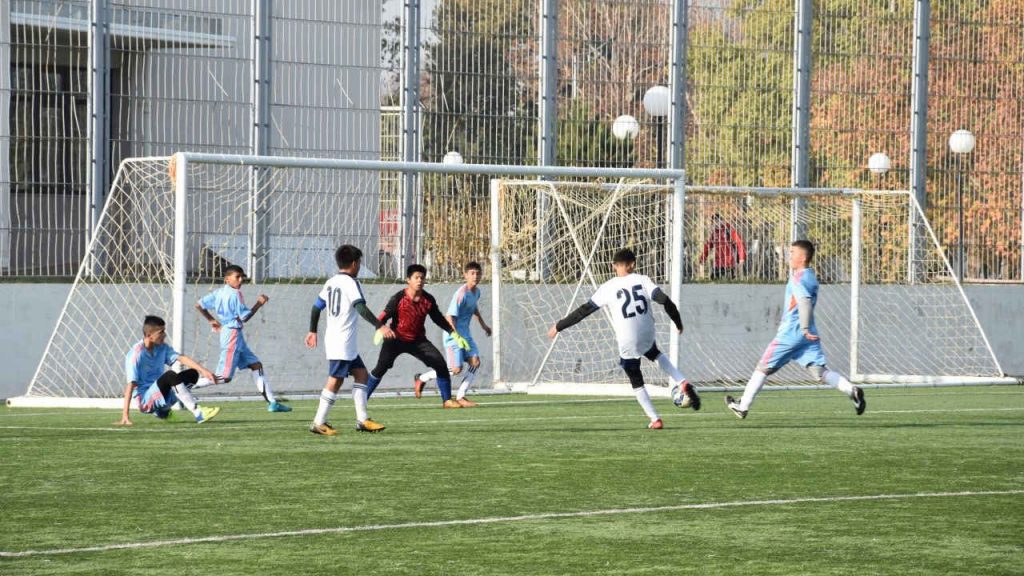 Кубок Содружества Юг Алга